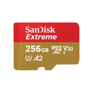 Carte SD 256Go