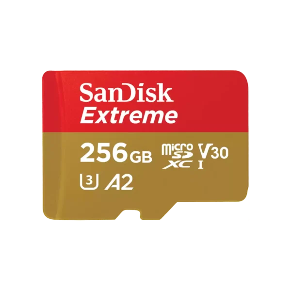 Carte SD 256Go